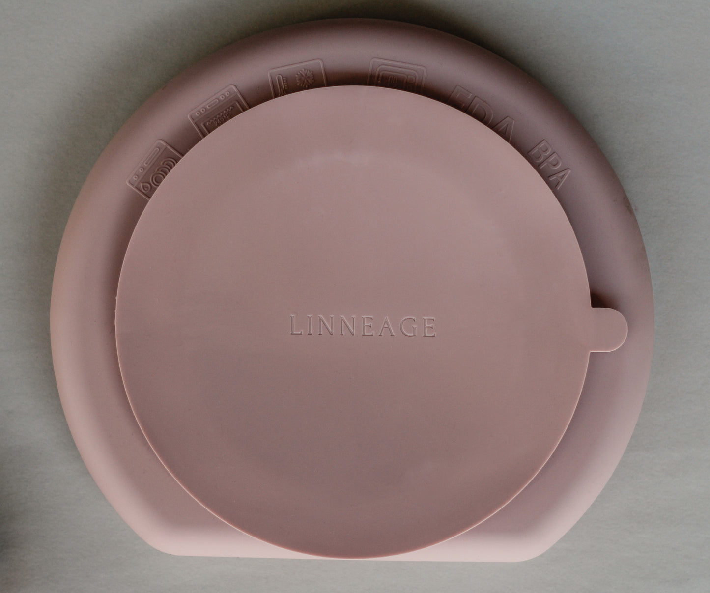 Silicone Plate | Blush